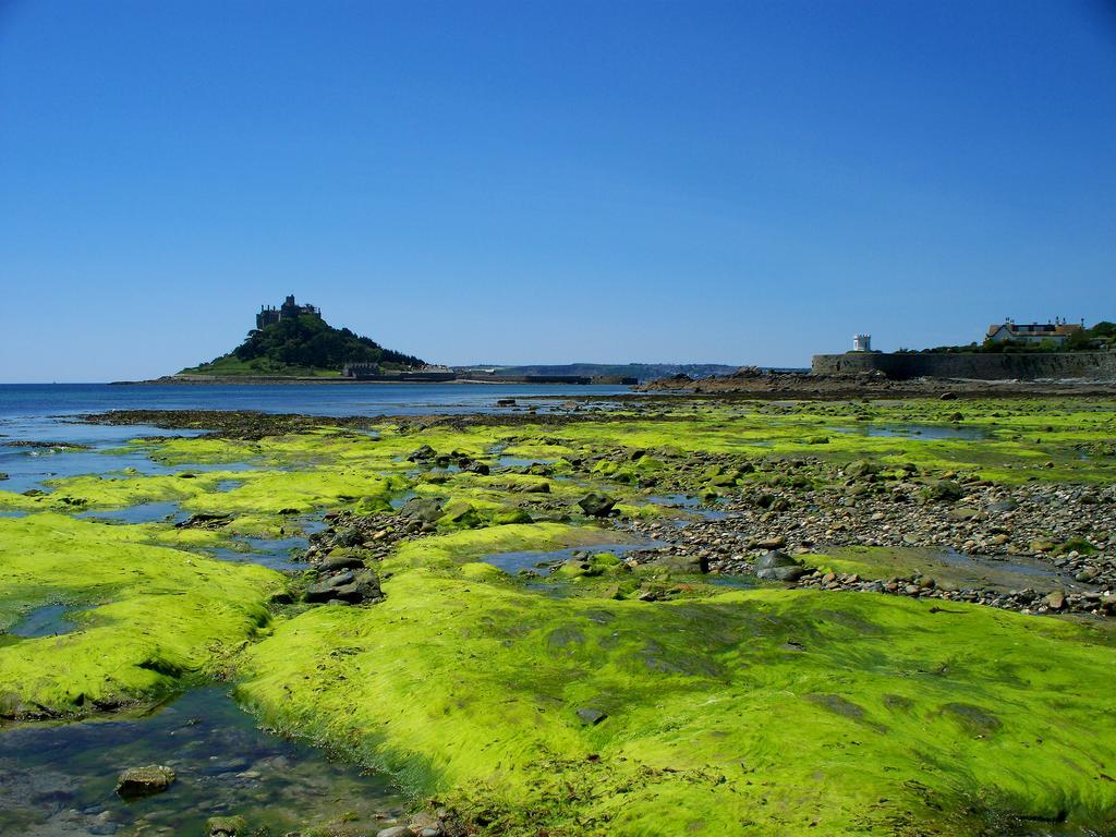 Wheal Rodney Holiday Park Marazion Quarto foto
